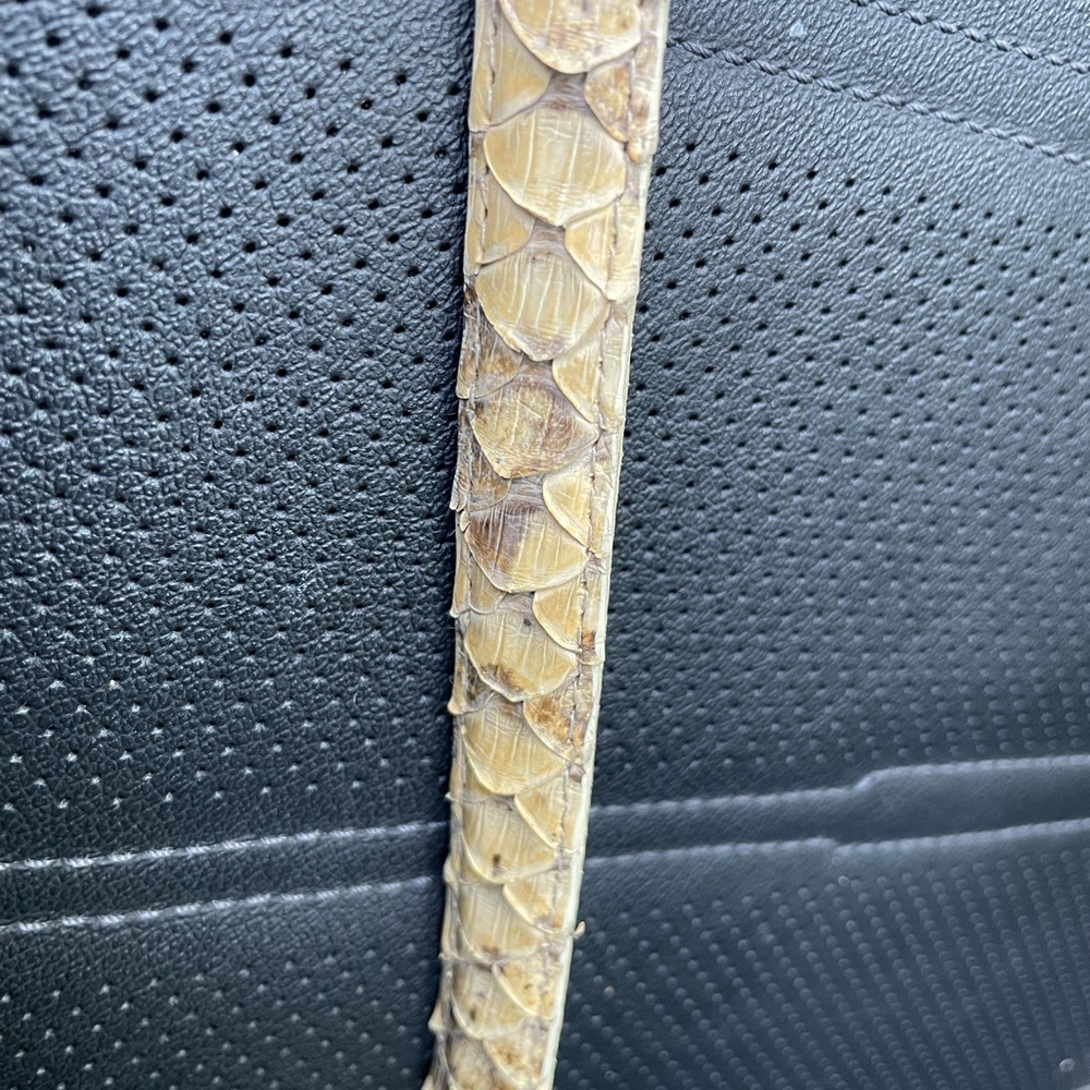 Genuine Python belt size: M - Picture 3 of 10